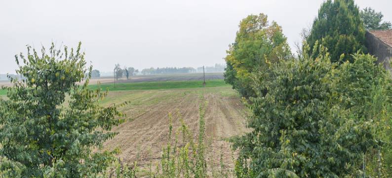 Villa in Lombardy near Po River图片