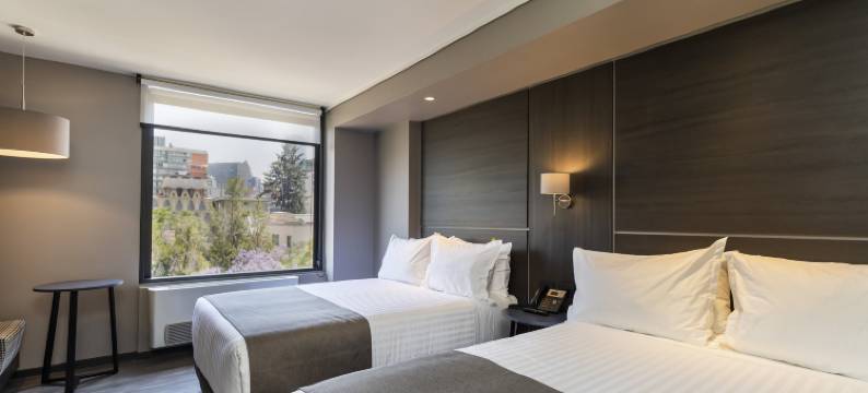 圣迭戈普罗维登西亚欧拉酒店 - 希尔顿启缤精选酒店(Ola Santiago Providencia, Tapestry Collection by Hilton)图片