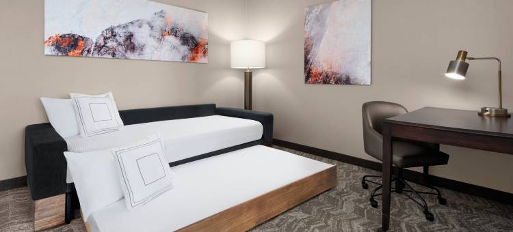 丹佛机场万豪SpringHill酒店(SpringHill Suites Denver Airport)图片