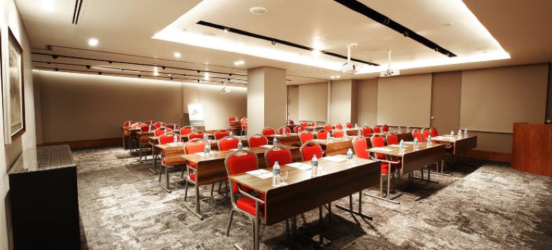 布尔萨市中心假日酒店(Holiday Inn BURSA - CITY CENTRE by IHG)图片