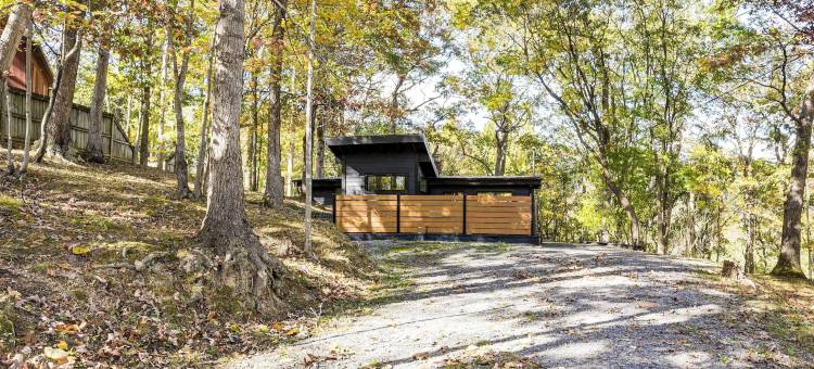 卢雷“黑胡桃木小屋占地2英亩，带火坑！(Luray 'Black Walnut Cabin' on 2 Acres w/ Fire Pit!)图片
