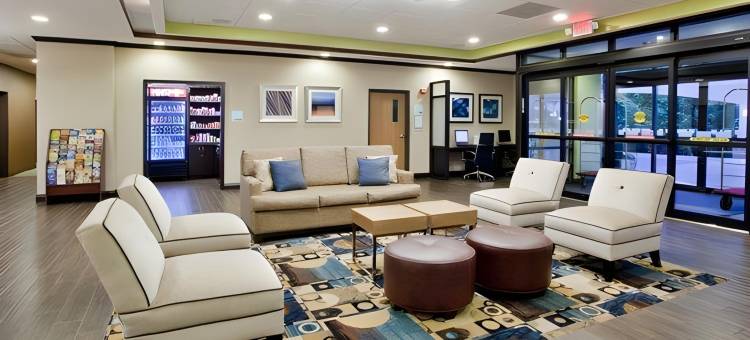 智选假日套房酒店布福德(Holiday Inn Express & Suites Buford NE - Lake Lanier)图片