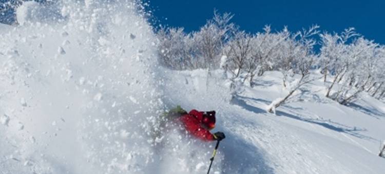 招待所蘖(Guesthouse Hikobae)图片