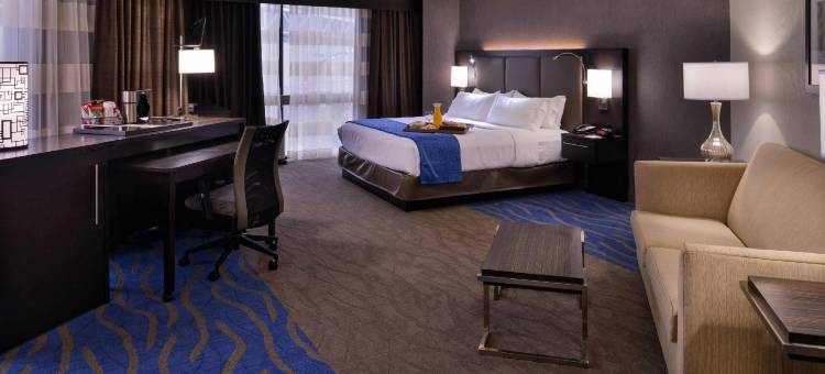 丽笙圣路易斯市中心城南新区会展中心酒店(Radisson Hotel St Louis Downtown Convention Center)图片