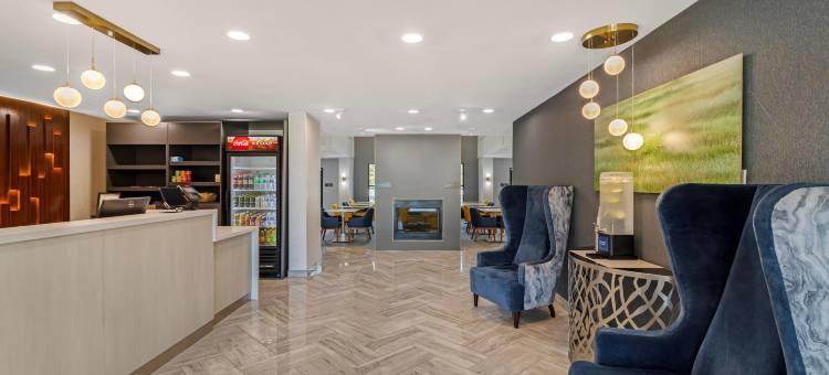 舒适酒店及套房(Comfort Inn & Suites)图片