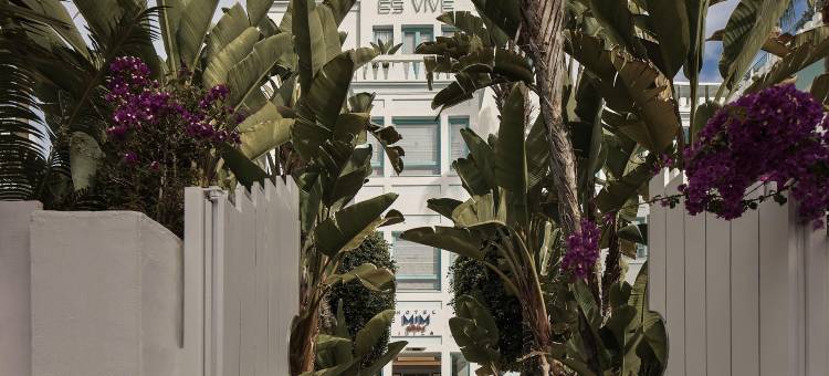 MIM 伊比萨 美利亚臻选成员(Mim Ibiza Member of Melia Collection)图片