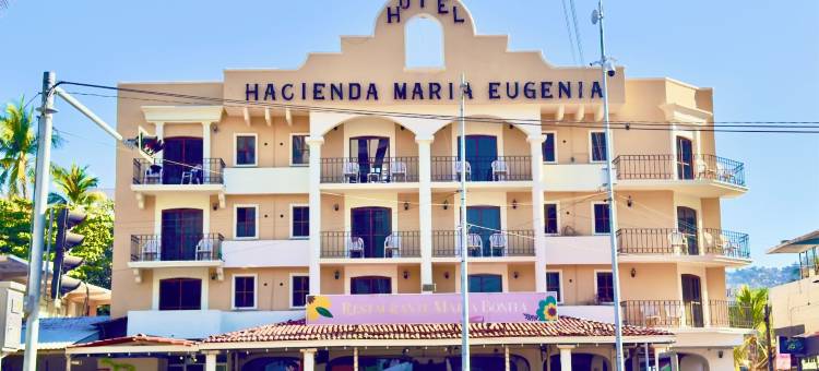 玛丽亚尤金尼亚庄园酒店阿卡普尔科(Hotel Hacienda María Eugenia)图片
