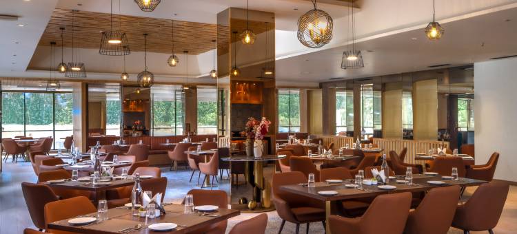 希尔顿花园酒店班加罗尔怀特菲尔德(Hilton Garden Inn Bengaluru Whitefield)图片