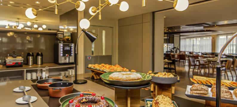 伊塔雅伊纳维根特斯美居酒店(Mercure Itajaí Navegantes)图片