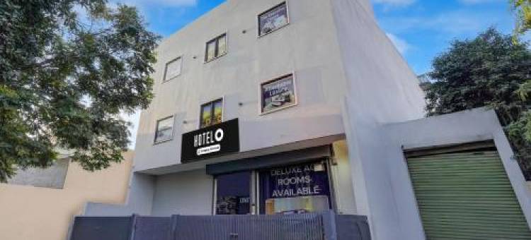 The White Solitaire图片