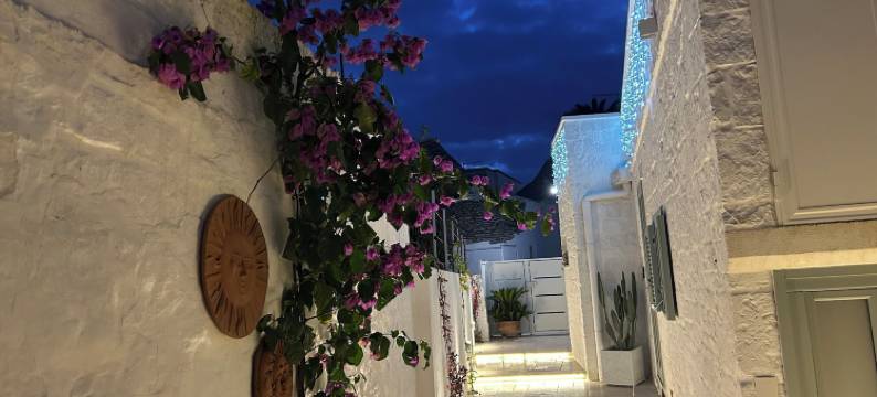 蒙特桑托60套房及休闲阿尔贝罗贝洛(Montesanto 60 Suite & Relax Alberobello)图片