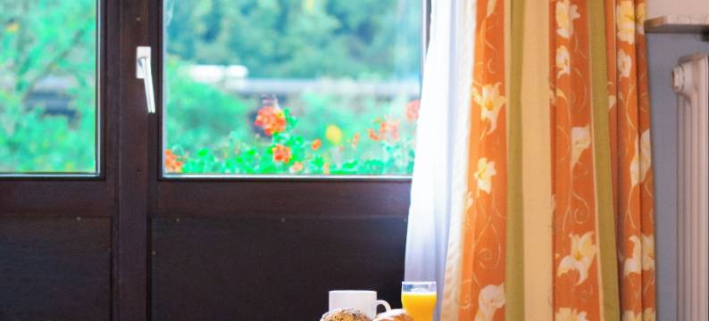 ALEMBRA - zur Moselbrücke酒店(Alembra - Hotel Zur Moselbrücke)图片