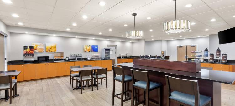 近奥兰多环球影城舒适套房酒店(Comfort Suites Near Universal Orlando Resort)图片