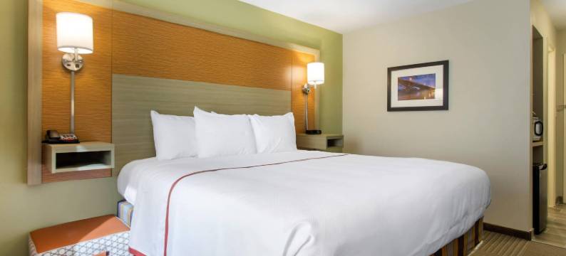 加勒斯体育馆公园旅馆-阿桑德连锁酒店(Gallus Stadium Park Inn, Ascend Hotel Collection)图片