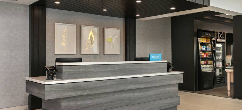 拉斯维加斯大道希尔顿花园酒店(Hilton Garden Inn Las Vegas Strip South)图片