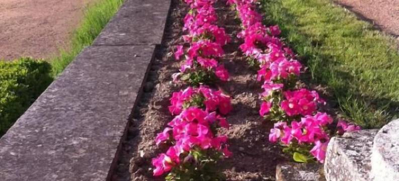 布塞城堡(Château de Busset)图片