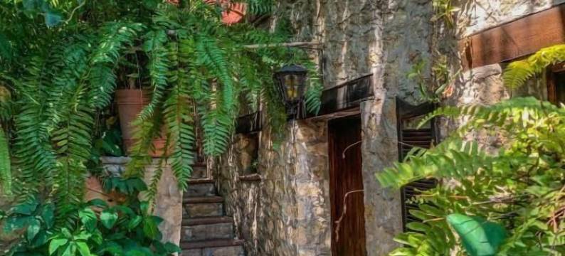 瓜穆奇尔之家(La Casa del Guamúchil)图片