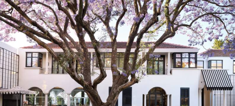 约翰内斯堡柏悦酒店(Park Hyatt Johannesburg)图片