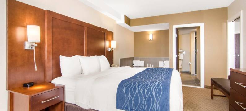 梅迪辛哈特舒适套房酒店(Comfort Inn & Suites)图片