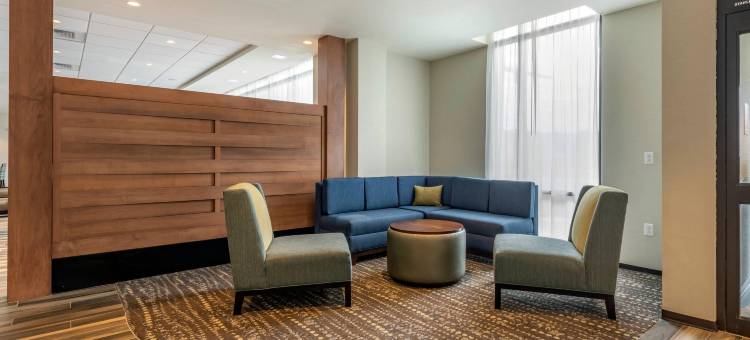 匹兹堡北岸舒适套房酒店(Comfort Inn & Suites Pittsburgh-Northshore)图片