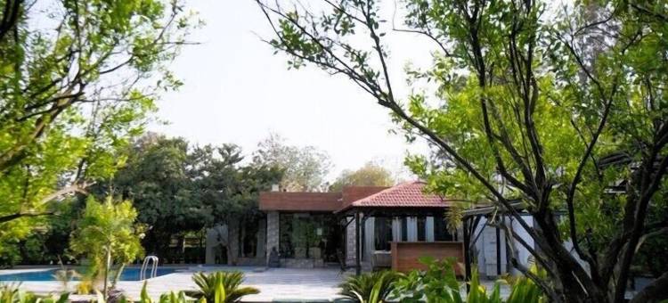 曼纳特农场(The Mannat Farms)图片