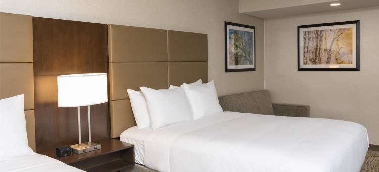 舒适草原科诺沙希尔顿逸林酒店(DoubleTree by Hilton Pleasant Prairie Kenosha)图片