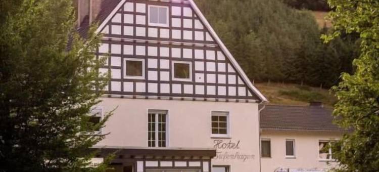 蒂芬哈根萨尔兰酒店(Hotel Tiefenhagen Sauerland)图片