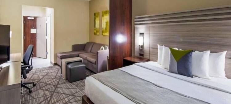 休斯顿 I-45 北 - IAH 舒适套房酒店(Comfort Inn & Suites Houston I-45 North - IAH)图片