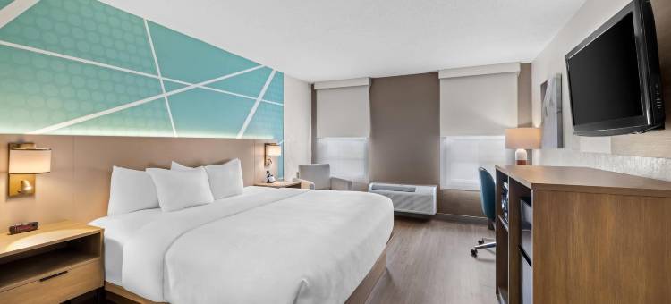 会议中心舒适酒店(Comfort Inn & Suites and Conference Center)图片