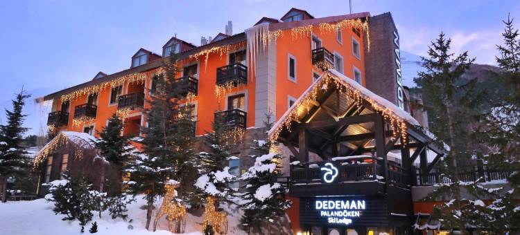 戴德曼滑雪旅馆(Dedeman Palandoken Ski Lodge Hotel)图片