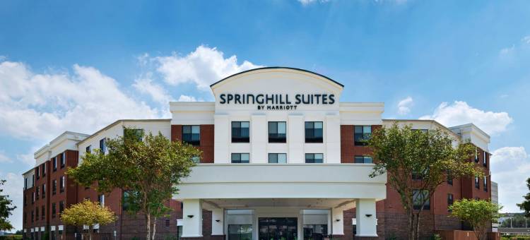 欧文达拉斯DFW国际机场东/拉斯科利纳斯SpringHill Suites酒店(SpringHill Suites Dallas DFW Airport East/Las Colinas Irving)图片
