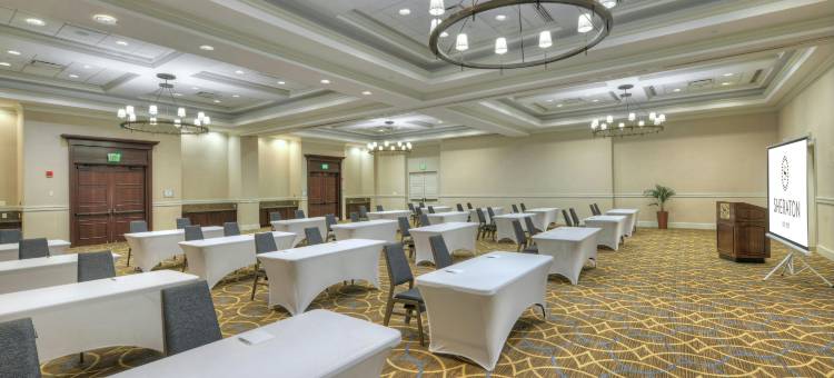 巴尔的摩华盛顿机场喜来登酒店-I(Sheraton Baltimore Washington Airport Hotel - BWI)图片