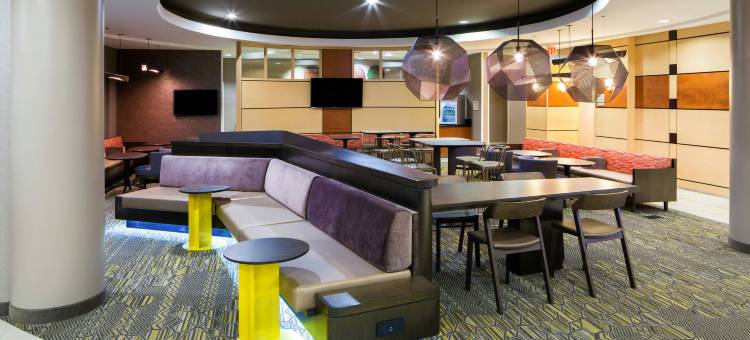 印第安纳波利斯费希尔斯SpringHill套房酒店(SpringHill Suites Indianapolis Fishers)图片