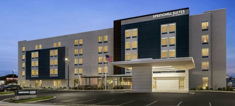 希尔营SpringHill套房酒店(SpringHill Suites Camp Hill)图片