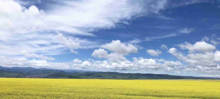 门源梦缘家庭宾馆图片