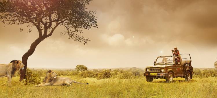 吉尔塞莱 - IHCL 精选(Gir Serai - Ihcl SeleQtions)图片