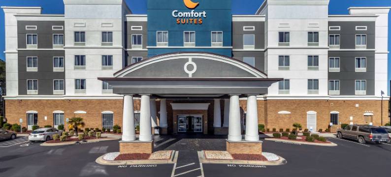 佛伦伦萨I-95舒适套房酒店(Comfort Suites Florence I-95)图片