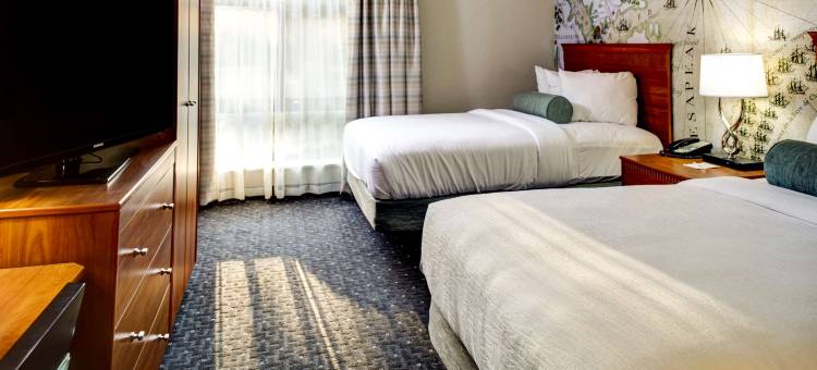 威廉斯堡希尔顿安泊酒店(Embassy Suites by Hilton Williamsburg)图片