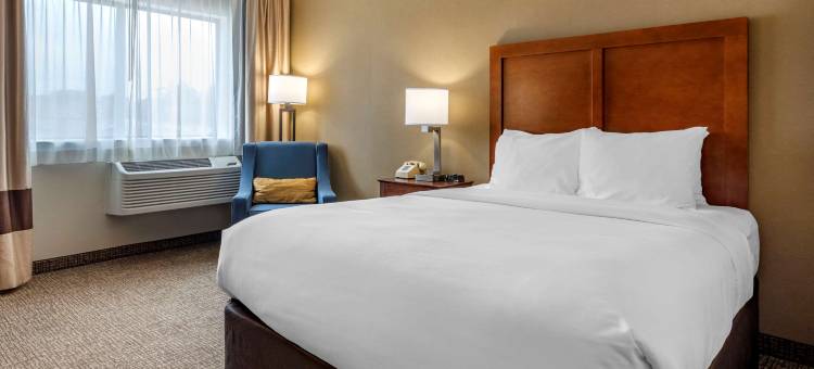 蒙特佩利尔柏林舒适套房酒店(Comfort Inn & Suites Montpelier-Berlin)图片