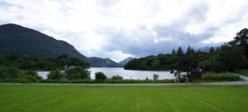 库拉希恩的基恩斯(Keanes of Curraheen, Bar, Restaurant & Accommodation)图片