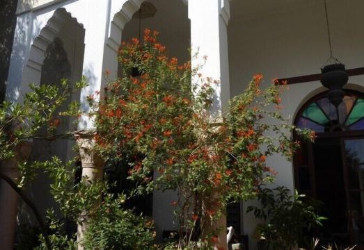 Ryad Mabrouka Hotel Overview