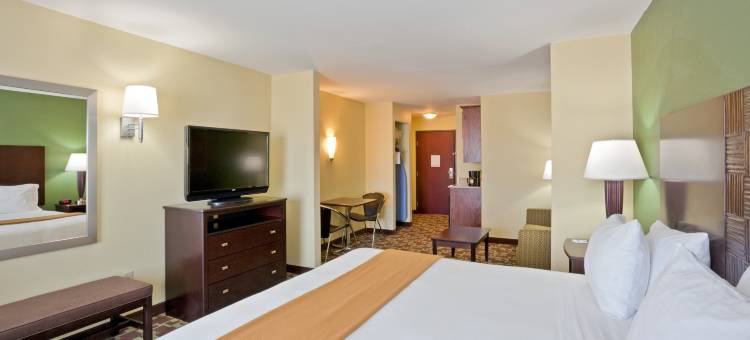 杜马智选假日酒店及套房(Holiday Inn Express & Suites Dumas)图片