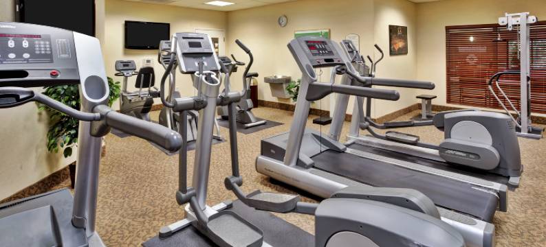 Holiday Inn & Suites 安阿伯大学密歇根地区(Holiday Inn & Suites ANN ARBOR UNIV. MICHIGAN AREA by IHG)图片