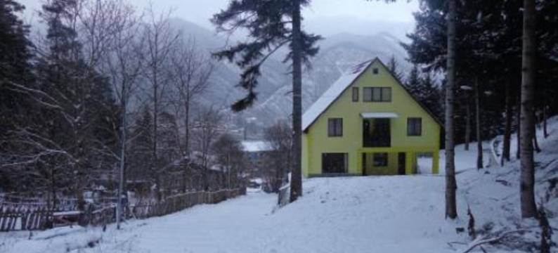 博尔若米森林旅馆(Guest House Borjomi Forest)图片