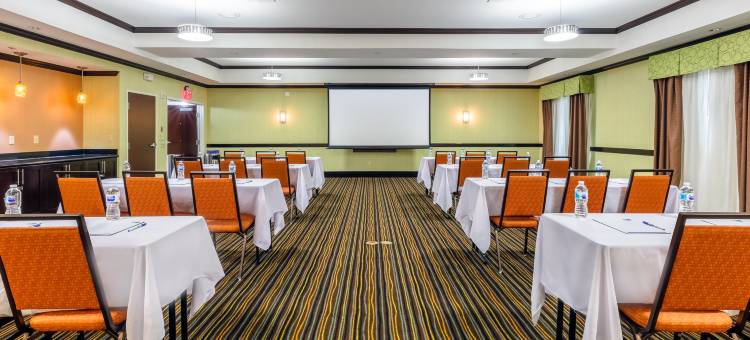 智选假日套房酒店达拉斯西(Holiday Inn Express & Suites Dallas W - I-30 Cockrell Hill)图片