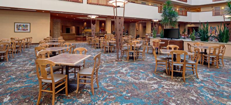 阿尔伯克基希尔顿安泊酒店(Embassy Suites by Hilton Albuquerque)图片