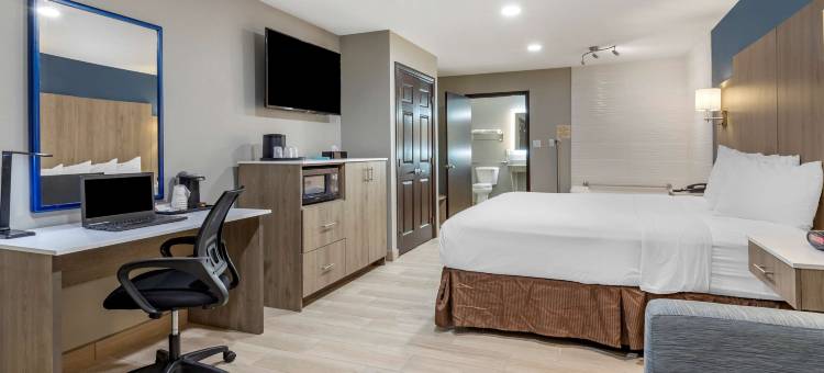 爱丁堡贝斯特韦斯特优质套房酒店(Best Western Plus Edinburg Inn  Suites)图片