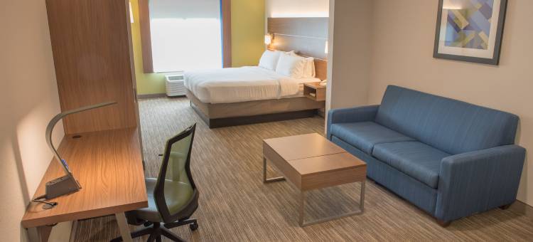智选假日套房酒店埃尔克哈特 - 南 by IHG(Holiday Inn Express & Suites Elkhart-South by IHG)图片