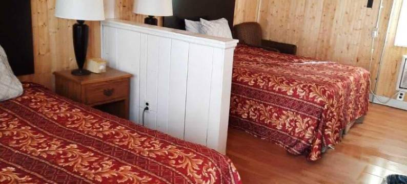 节庆城市汽车旅馆(Fiesta City Motel)图片