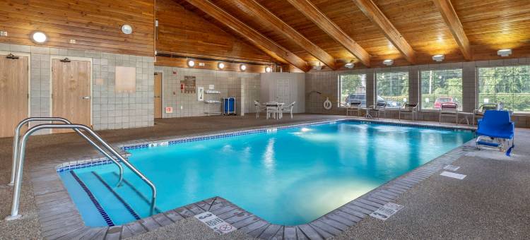 舒适酒店(Comfort Inn)图片